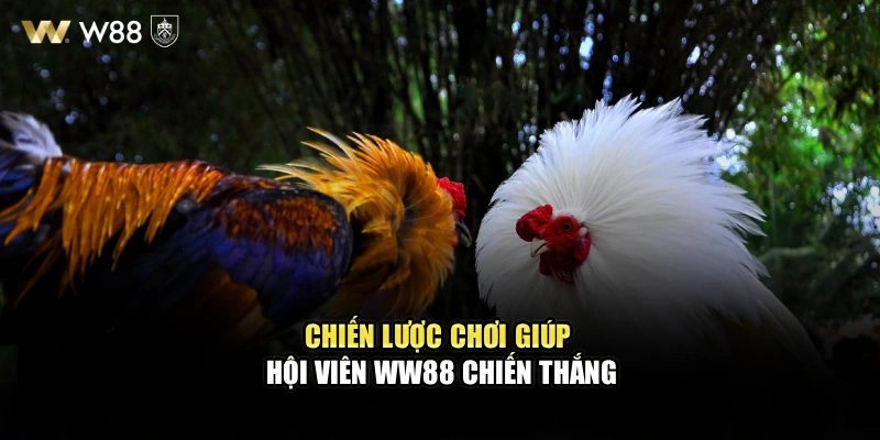 Chiến lược chơi giúp hội viên WW88 chiến thắng