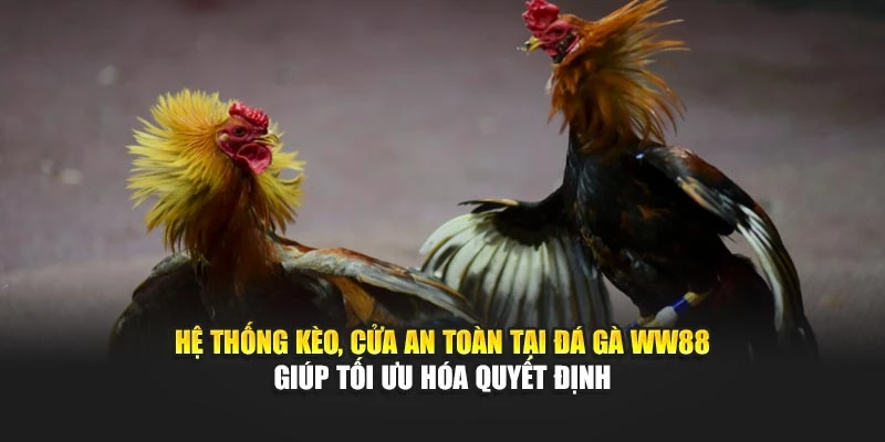 Hệ thống kèo, cửa an toàn tại đá gà WW88 giúp tối ưu hóa quyết định