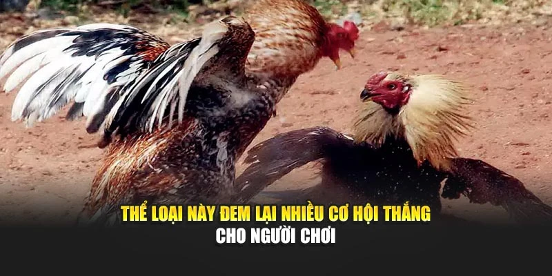 Thể loại này đem lại nhiều cơ hội thắng cho người chơi